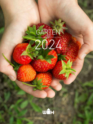 Hand die Erdbeeren hält 