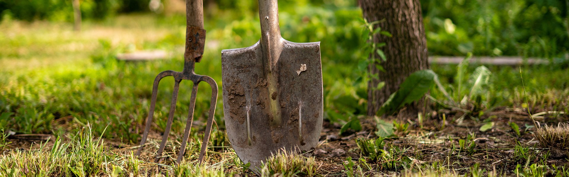 Ein Rechen und eine Schaufel für die Gartenarbeit