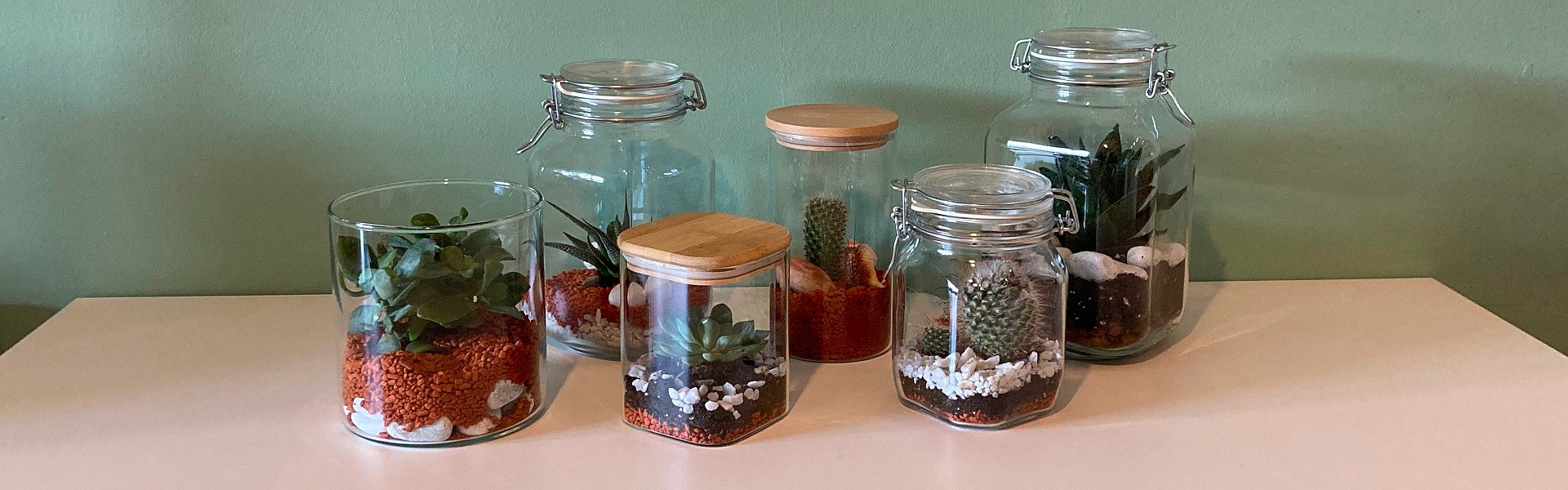 Selbst gemachte Flaschengärten in verschiedenen Größen