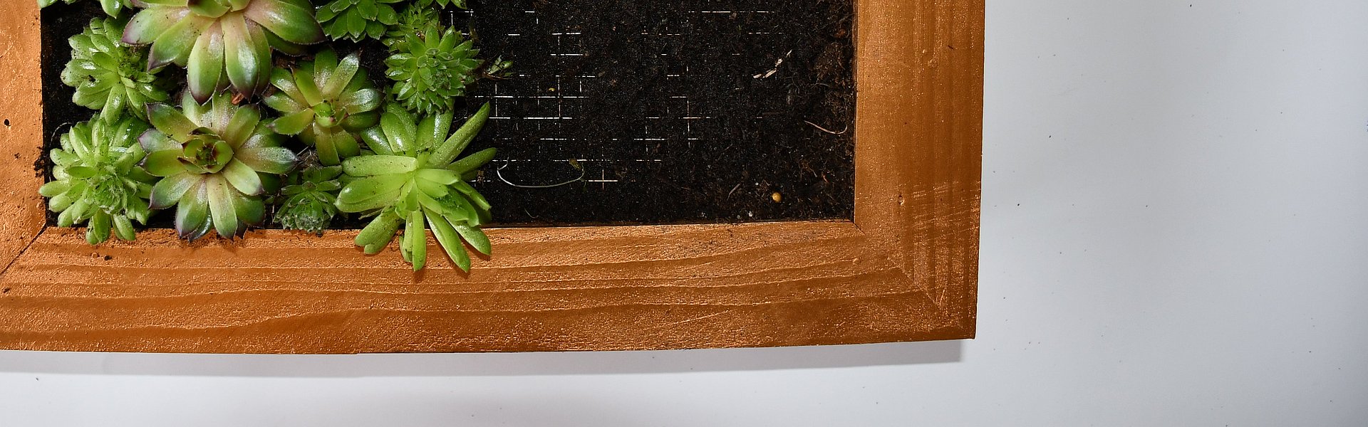 Bilderrahmen Gold mit Pflanzen