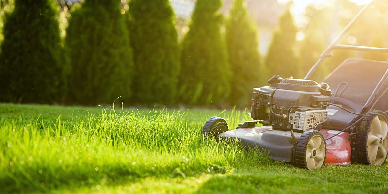Das Mähen von saftig grünem Gras mit einem Benzin-Rasenmäher