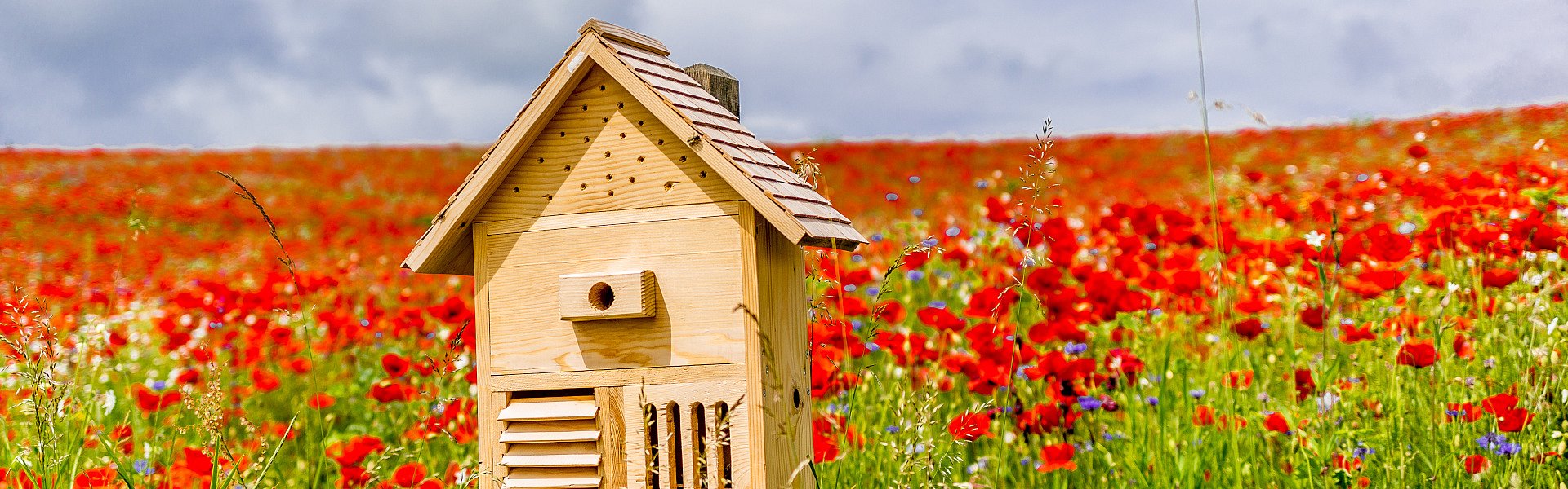 Insektenhotel steht auf Blumenwiese