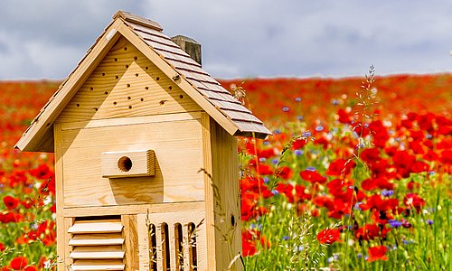 Insektenhotel steht auf Blumenwiese