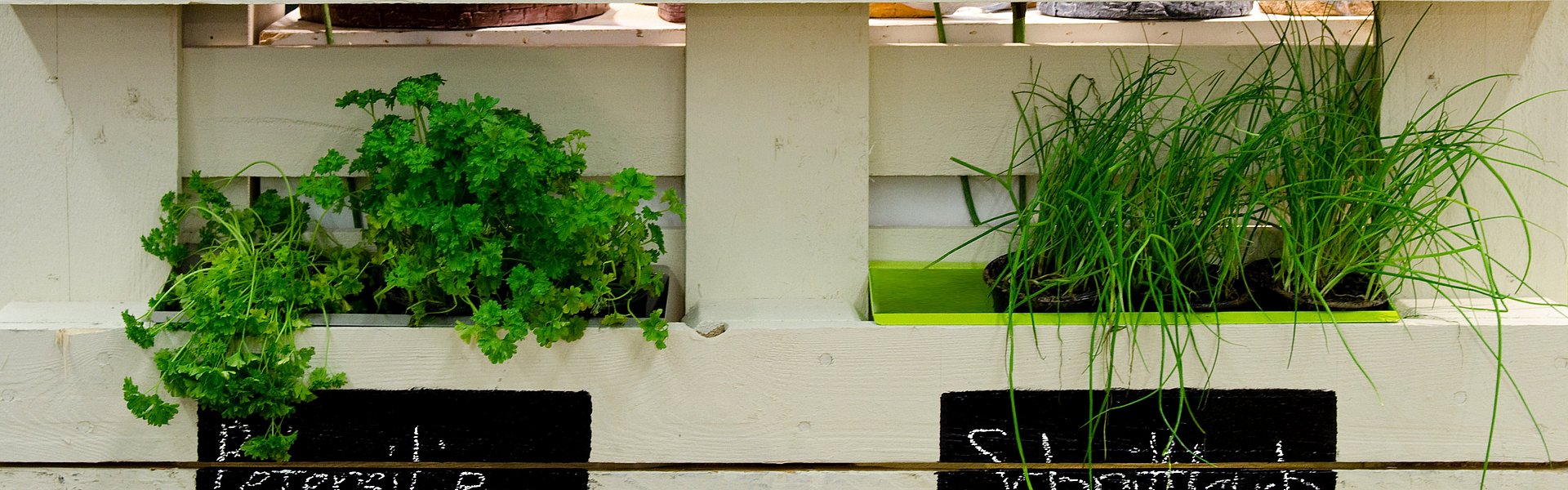 vertikaler Garten aus Europalette