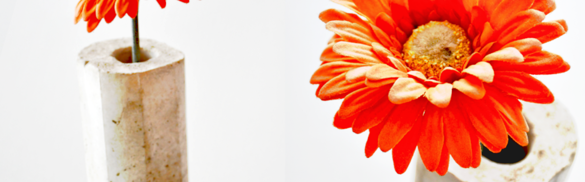 Betonvase mit oranger Blume