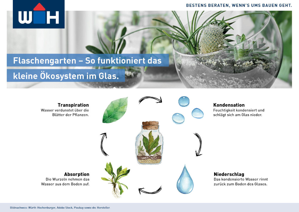 Infografik Wie funktioniert das Ökosystem "Flaschengarten"