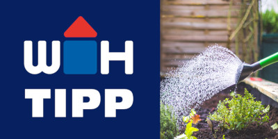 Experten-Tipp wie man den Garten richtig bewässert