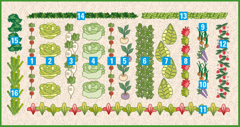 Die richtige Hochbeet-Bepflanzung im Frühling