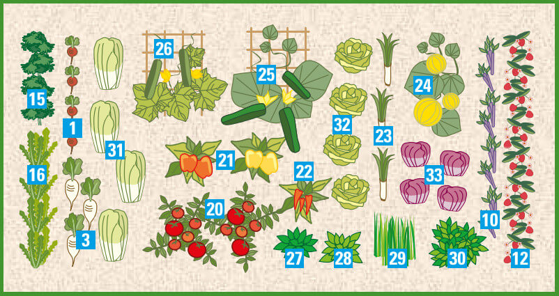 Die richtige Hochbeet-Bepflanzung im Herbst