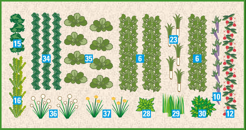 Die richtige Hochbeet-Bepflanzung im Winter