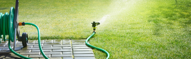 Automatische Gartenbewässerung mit einem Sprinkler und Schlauchanschluss