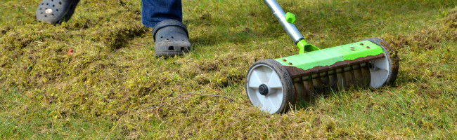 Mann beim Vertikulieren seines Rasens im Frühjahr